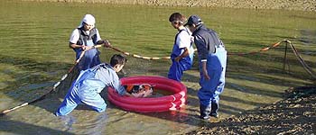 Sakai mudpond